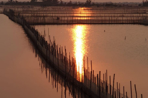 From Hue: Afternoon on Tam Giang lagoon - Half day