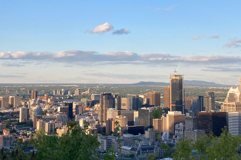 مونتريال: جولة تسوق مستعملة مع أحد السكان المحليين