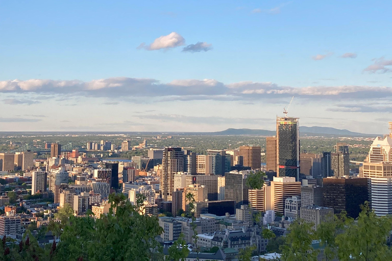 مونتريال: جولة تسوق مستعملة مع أحد السكان المحليين