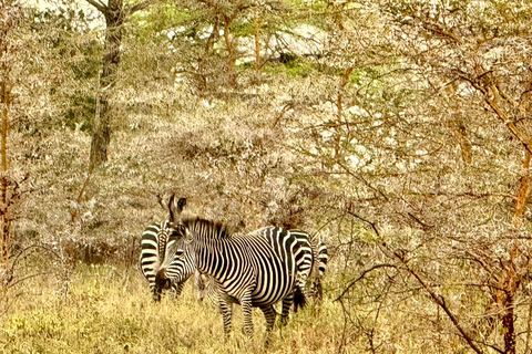 Dar es Salaam: Mikumi National Park Day Trip By Train