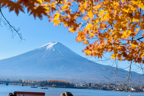 Tokyo: Private Daytrip to Mount Fuji - Fully Customizable Mt Fuji Private Luxury Van Tour (Customizable Experience)