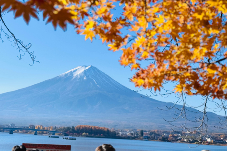 Tokyo: Private Daytrip to Mount Fuji - Fully Customizable Mt Fuji Private Luxury Van Tour (Customizable Experience)