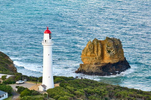 Da Melbourne：Great Ocean Road Reversed Route Tour di un giorno intero