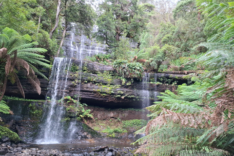 Mt Field Shore Excursion
