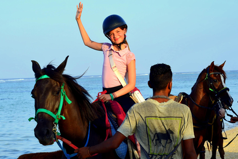 Marsa Alam: Excursión a caballo por el mar y el desierto