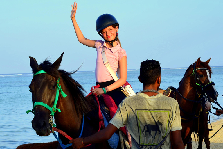 Marsa Alam: Ridning i havet och öknen