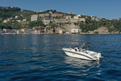 From Sorrento: Private Capri Tour Next 22 Up to 5 people