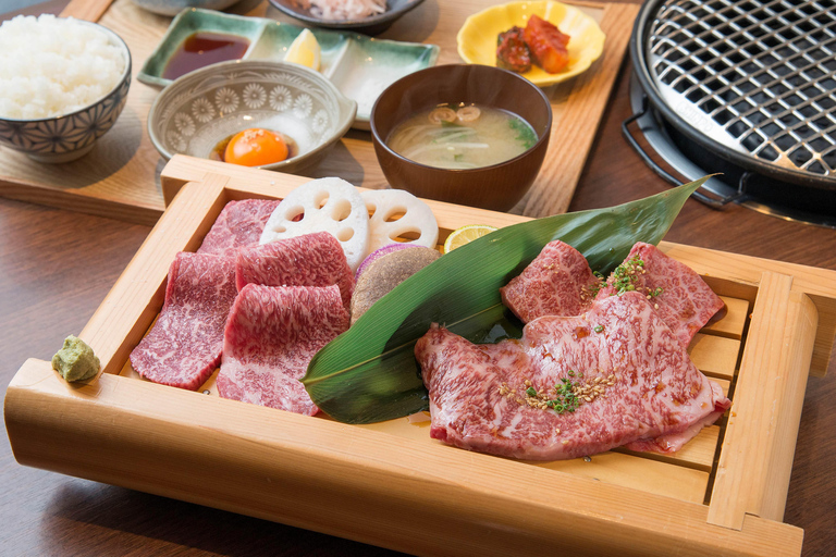 Himeji Castle Guided Tour and Kobe Beef Lunch from Kyoto Return Shinkansen (bullet train) ticket to Shin-Osaka