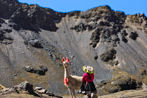Cusco: 7 Ausangate Lakes + Andean and Glacier Experience