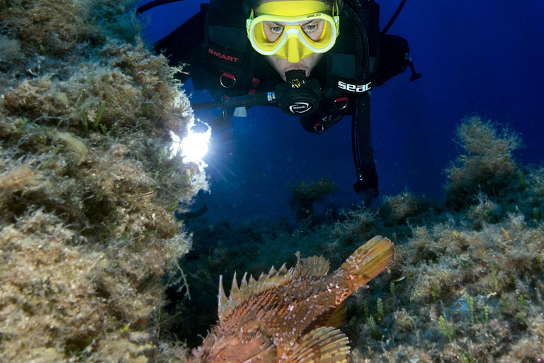 Genoa: first underwater dive