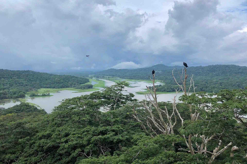 Panama : Buffet, tramway aérien, excursion en bateau à Gatun, sanctuaire des paresseuxPanama : Tram aérien, tour en bateau à Gatun et sanctuaire des paresseux