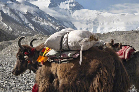 Everest Base Camp Trek 14 or 11 days All inclusive From Lukla to Lukla EBC Trek