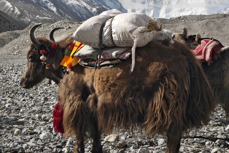 Everest Base Camp Trek 14 or 11 days All inclusive From Lukla to Lukla EBC Trek