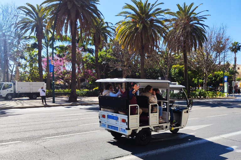 Málaga: Tour guiado particular de Tuk-Tuk