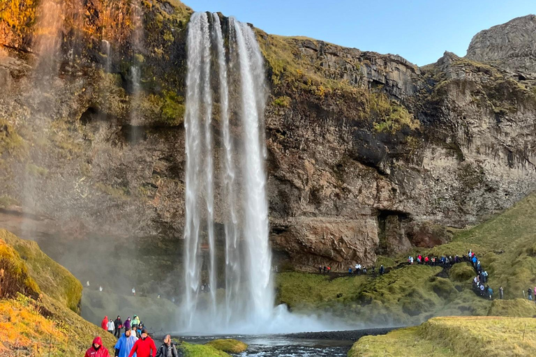 Tour privado por la Costa Sur de Islandia