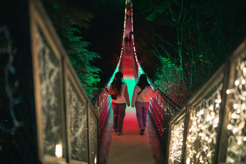Capilano Suspension Bridge Canyon Lights Holiday Tour