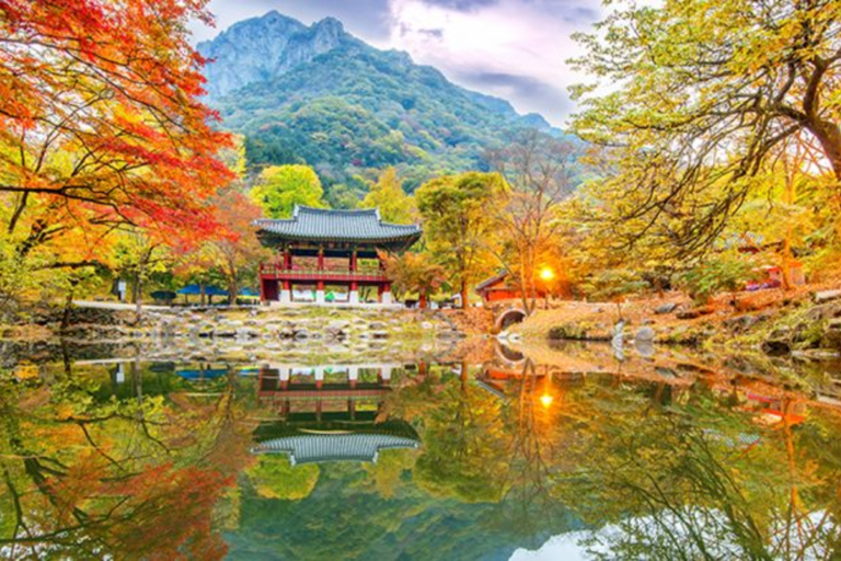 Naejangsan Autumn Foliage Day Tour from Seoul and Busan Group tour, departure from Haeundae Station Exit 5 (Busan)