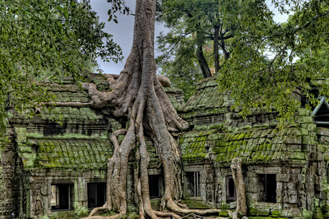 Full-Day Angkor Wat, Banteay Srei & Highlights Private Tour