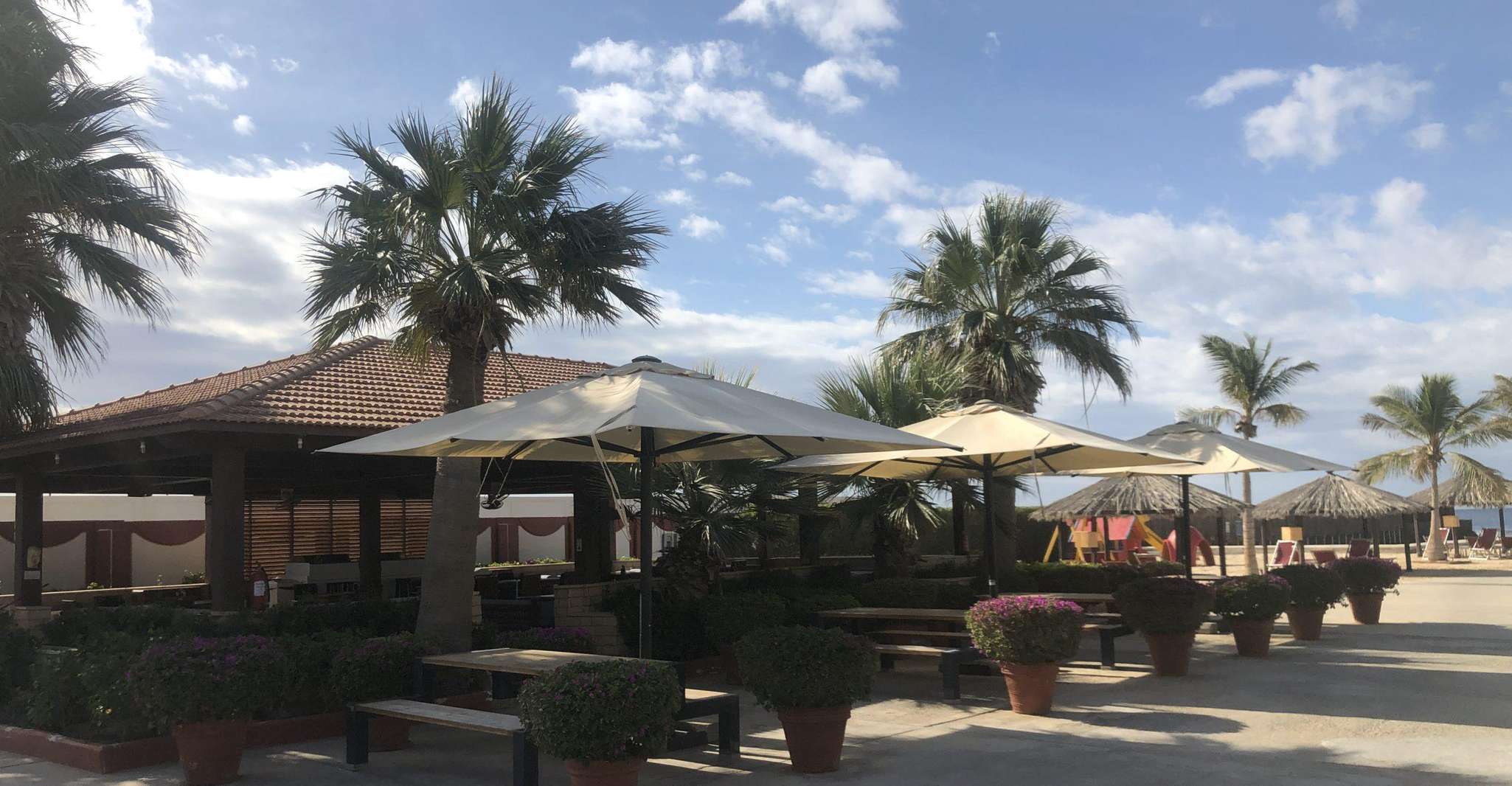 Sheraton Red Sea Resort Swimming and Snorkeling Entry Ticket photo 8