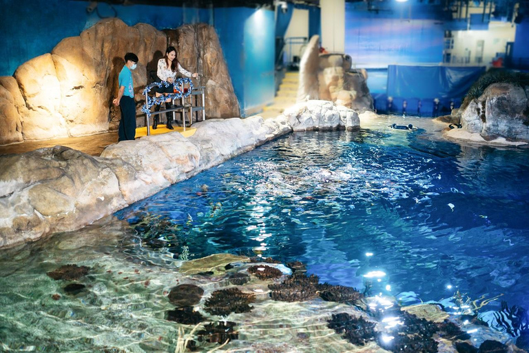 Hong Kong: Esperienza di alimentazione e apprendimento degli animali all&#039;Ocean Park