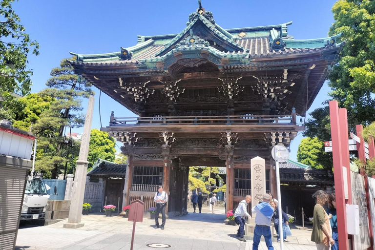 Tokyo: Ginza to Shibamata Walking Tour with Guide