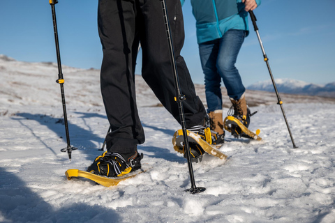 Akureyri: Snowshoe Hiking Tour with Guide