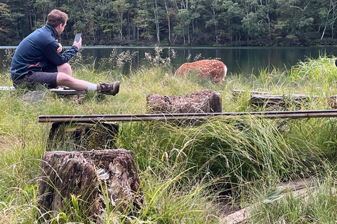 Hokkaido: Half Day Backcountry Hiking Tour with Onsen Hokkaido:Half Day Backcountry Hiking Tour with Onsen