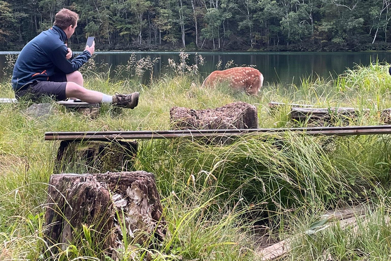 Hokkaido: Half Day Backcountry Hiking Tour with Onsen Hokkaido:Half Day Backcountry Hiking Tour with Onsen