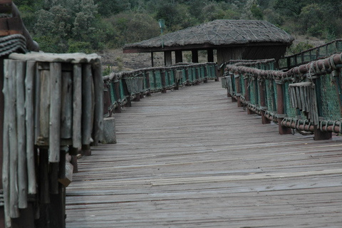 Safariwandeling in Nairobi en dagtour door het Giraffencentrum