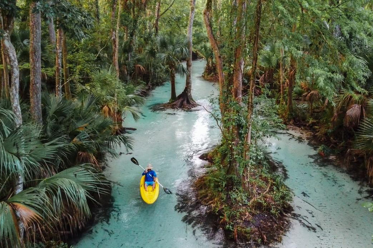 Florida: VIP Wild Florida Kayak Adventure VIP Wild Florida Kayak Adventure - Single Kayak