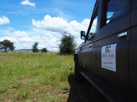 Da Zanzibar, Safari Best Day Selous con voli e pranzo - Housity