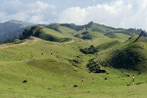 Kathmandu: 5-Day Sailung Peak Trek(Queen of Hills)