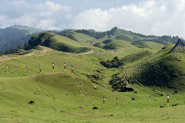 Kathmandu: 5-Day Sailung Peak Trek(Queen of Hills)