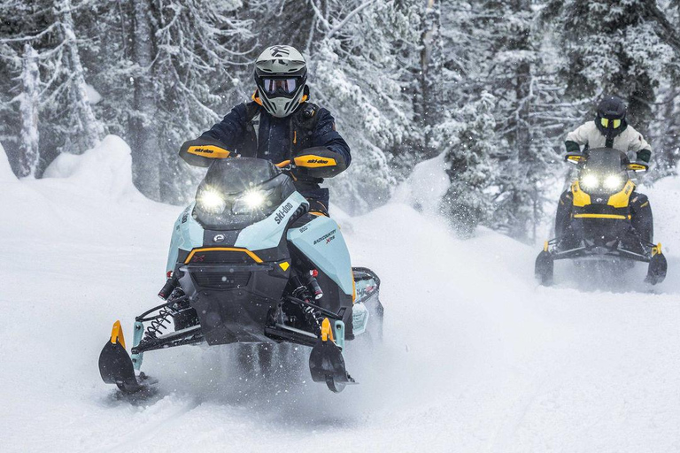 Explore the depths of the Canadian forest in Snowmobile