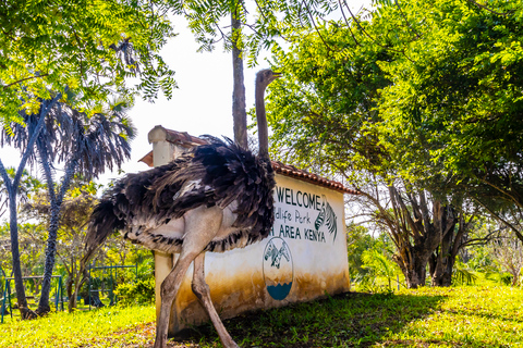 Exploring Nature's Treasures: A Private Day Trip in Diani Exploring Nature's Treasures: A Day Trip in Diani