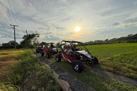 Bali: ATV or Buggy Adventure with Beach and Rice Fields Meeting point option