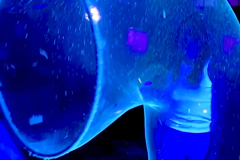 Baden-Baden Adventure: Neon Bubble Show with UV Flashlights