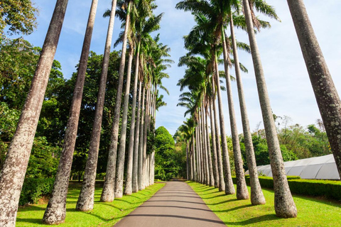 Sri Lanka: 5-Day Private Tour with Chauffer