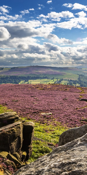 From Manchester, Chatsworth and the Peak District Tour - Housity