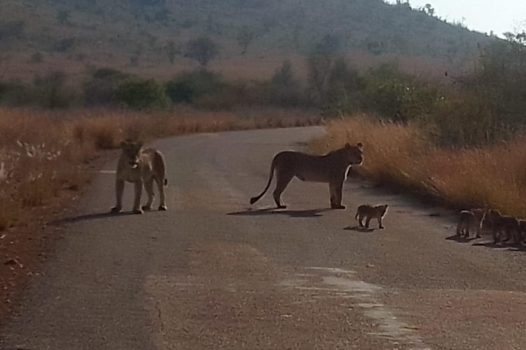 3 dni w Parku Narodowym Krugera