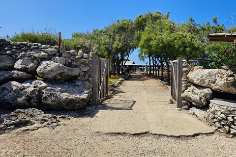 Barbade : Visite guidée panoramique privée