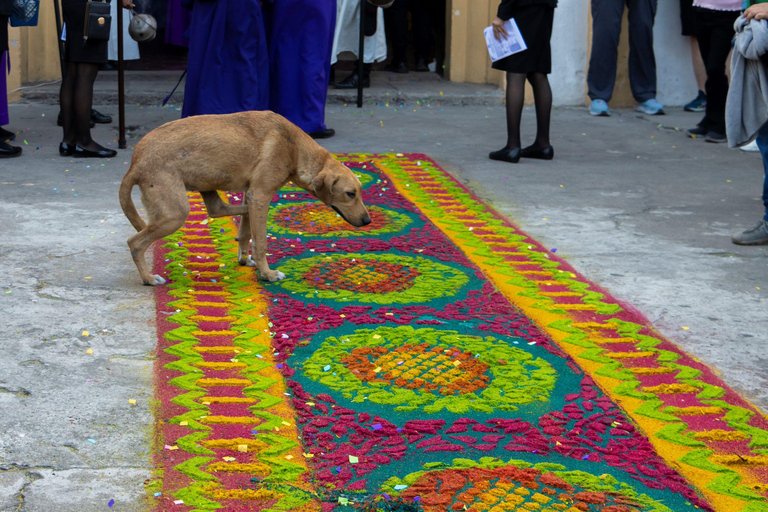 Antigua: Sawdust Carpet Workshop Exclusive Holy Tuesday Sawdust Carpet Workshop