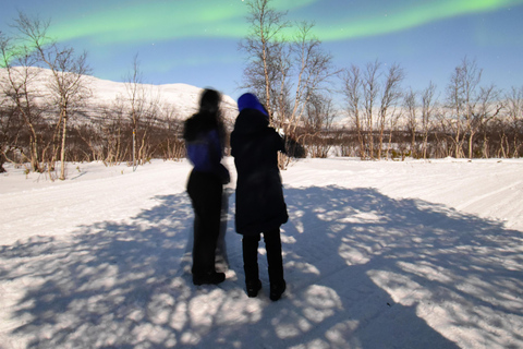 Abisko : Chasse aux aurores en motoneigeAurora chasing - Traîneau