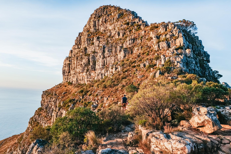 Cape Town: Lion's Head Sunrise or Sunset Hike