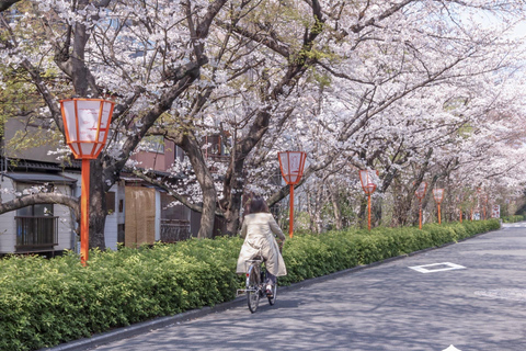 Kyoto E-Bike Tour