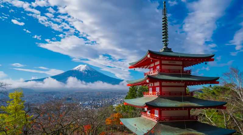 東京発：富士山観光プライベート日帰りツアー