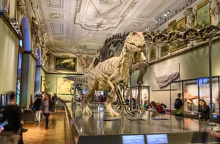 Wien: Ticket fürs Naturhistorische Museum