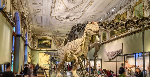 Vienna: Ticket to the Museum of Natural History