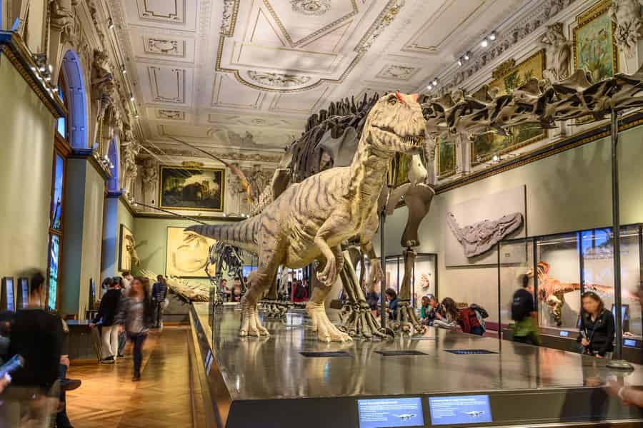 Wien: Ticket für das Naturhistorische Museum. Foto: GetYourGuide Wien: Ticket für das Naturhistorische Museum. Foto: GetYourGuide