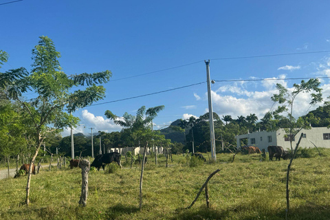 Puerto Plata: El Gallo Ecolodge Day Pass with Lunch